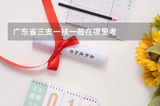 广东省三支一扶一般在哪里考