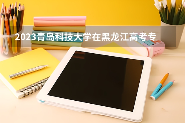2023青岛科技大学在黑龙江高考专业招生计划人数