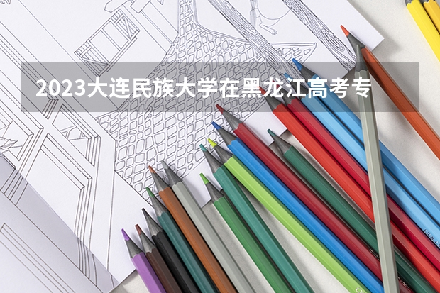 2023大连民族大学在黑龙江高考专业招生计划人数