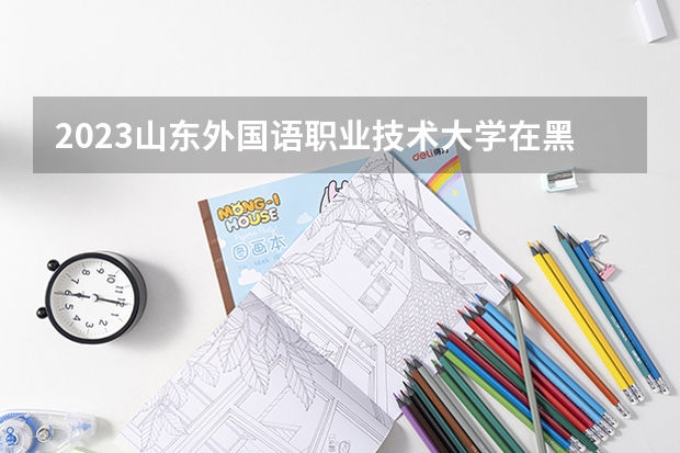 2023山东外国语职业技术大学在黑龙江高考专业招生计划人数