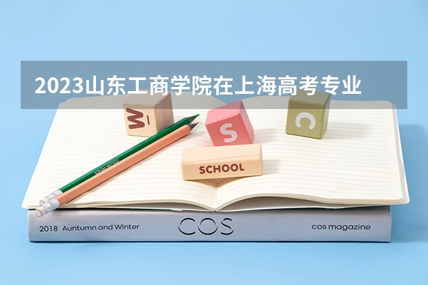 2023山东工商学院在上海高考专业招生计划人数