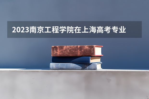 2023南京工程学院在上海高考专业招生计划人数
