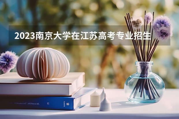 2023南京大学在江苏高考专业招生计划人数