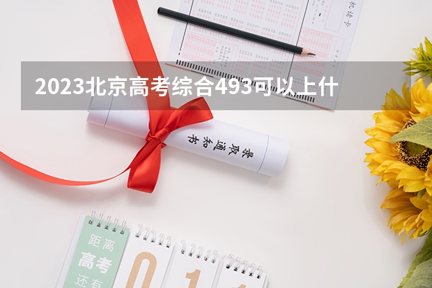 2023北京高考综合493可以上什么大学