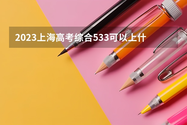 2023上海高考综合533可以上什么大学