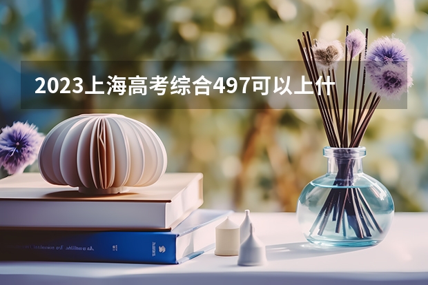 2023上海高考综合497可以上什么大学