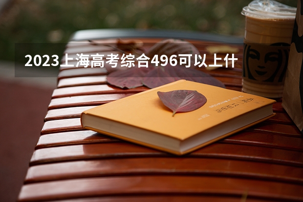2023上海高考综合496可以上什么大学