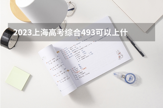 2023上海高考综合493可以上什么大学