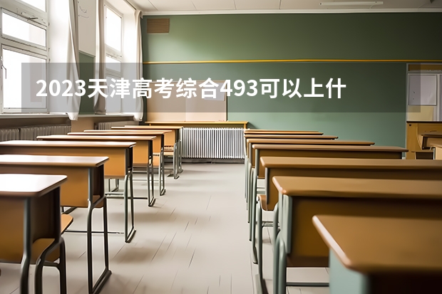 2023天津高考综合493可以上什么大学