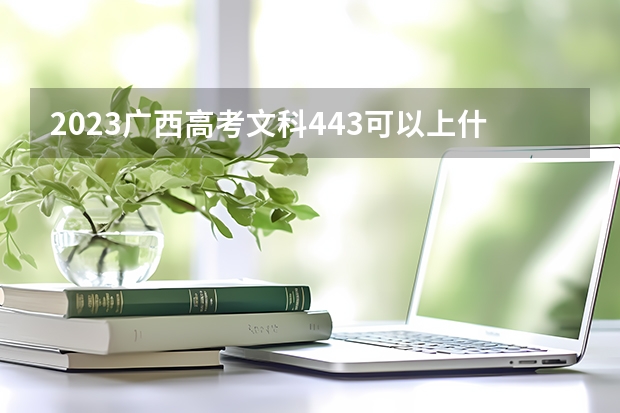2023广西高考文科443可以上什么大学