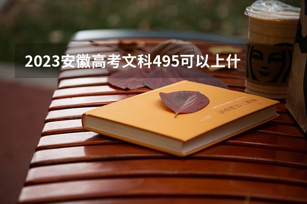 2023安徽高考文科495可以上什么大学