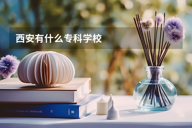 西安有什么专科学校