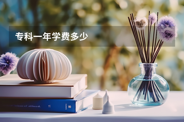 专科一年学费多少