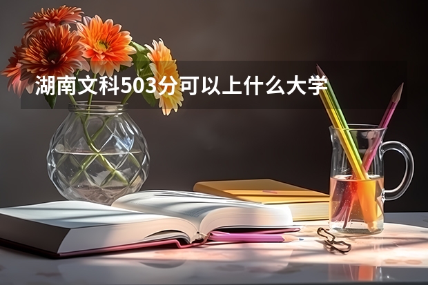 湖南文科503分可以上什么大学