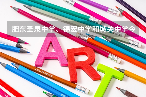 肥东圣泉中学、锦宏中学和城关中学今年的中考分数线是多少？