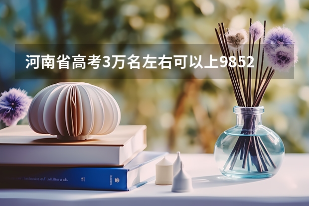 河南省高考3万名左右可以上985.211吗?