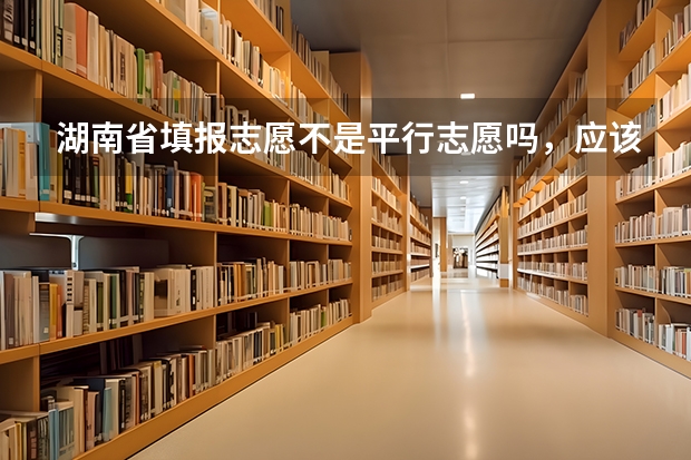 湖南省填报志愿不是平行志愿吗，应该怎么填，学校的顺序应该怎么排列，交换顺序有没有影响啊，我今年高考