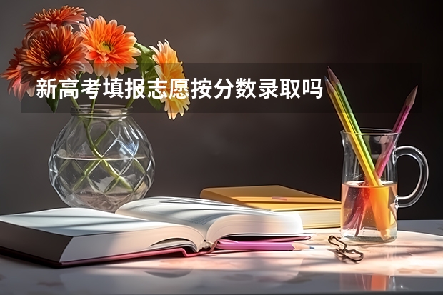 新高考填报志愿按分数录取吗