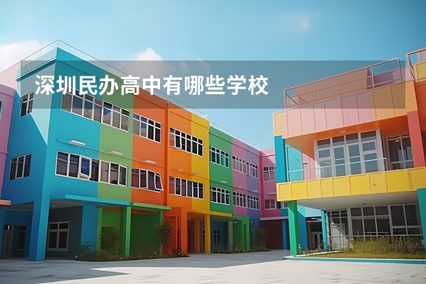 深圳民办高中有哪些学校