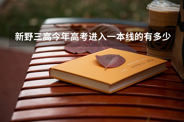 新野三高今年高考进入一本线的有多少人