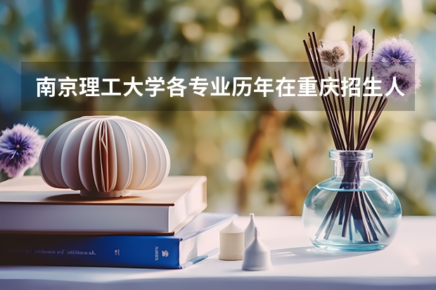 南京理工大学各专业历年在重庆招生人数