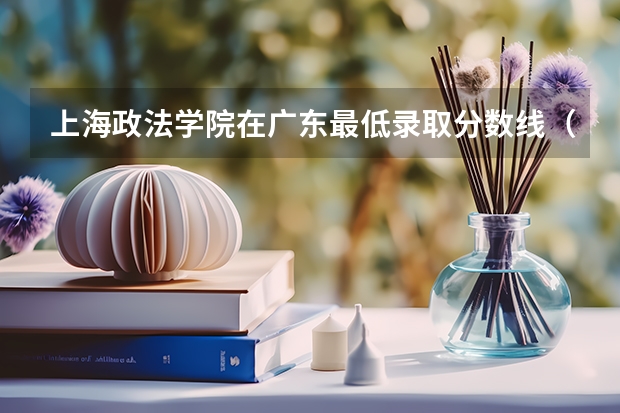 上海政法学院在广东最低录取分数线（2024高考参考）