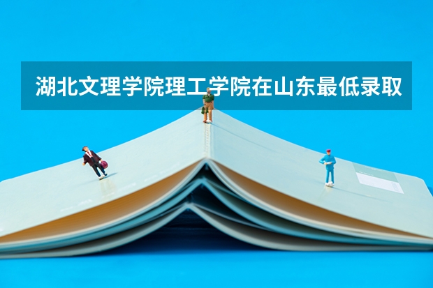 湖北文理学院理工学院在山东最低录取分数线（2024高考参考）