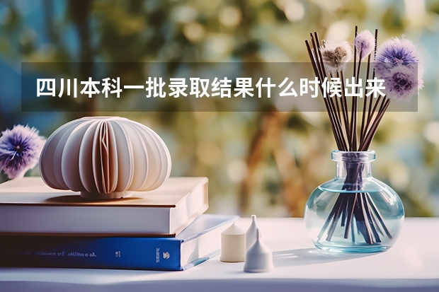 四川本科一批录取结果什么时候出来
