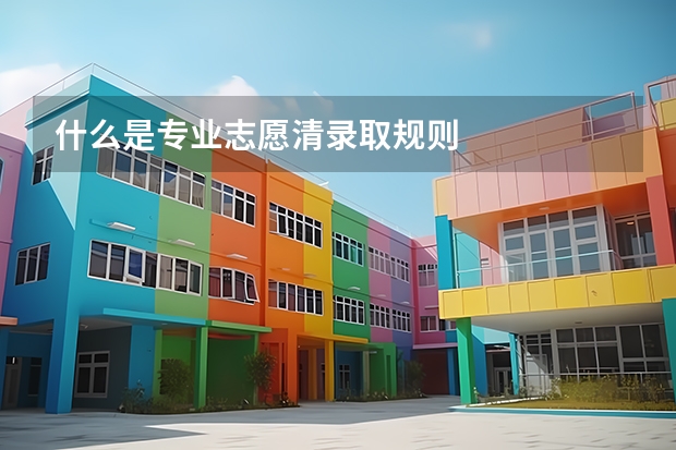 什么是专业志愿清录取规则