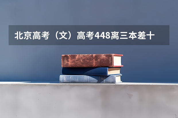 北京高考(文)高考448离三本差十分,能补录上吗?最好是北京城市学院