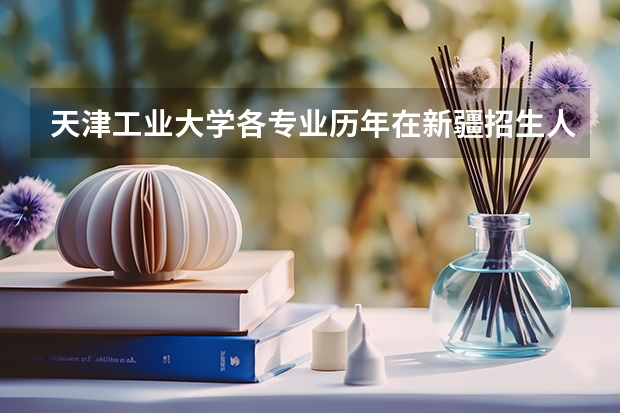 天津工业大学各专业历年在新疆招生人数