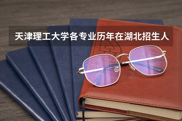 天津理工大学各专业历年在湖北招生人数