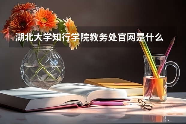 湖北大学知行学院教务处官网是什么