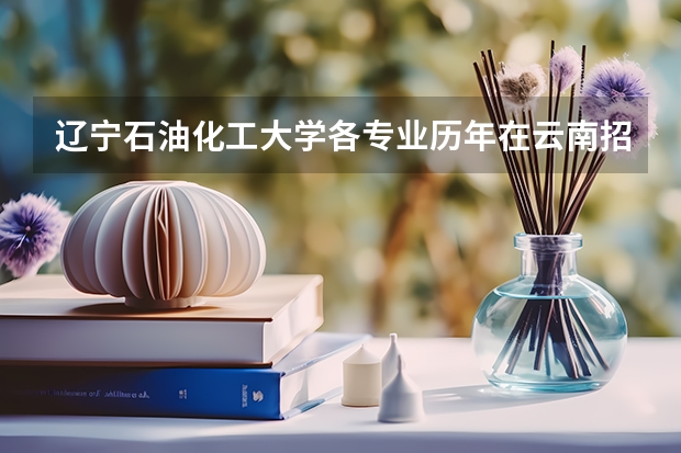 辽宁石油化工大学各专业历年在云南招生人数