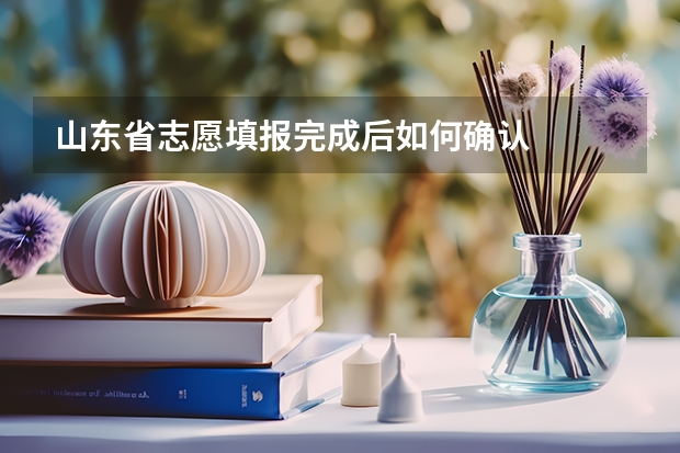 山东省志愿填报完成后如何确认