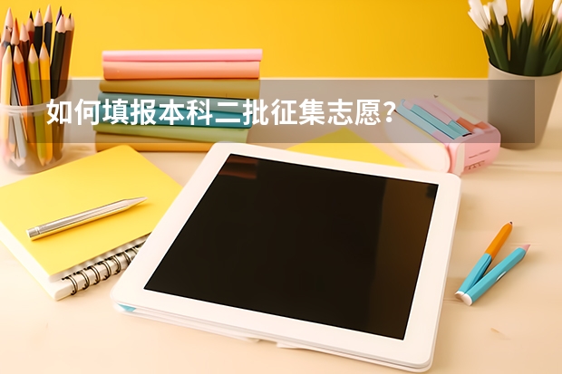 如何填报本科二批征集志愿？