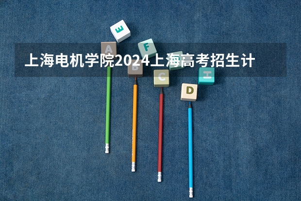 上海电机学院2024上海高考招生计划详解