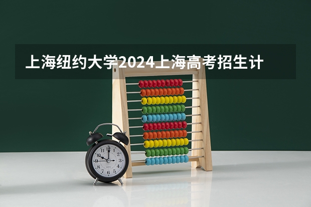 上海纽约大学2024上海高考招生计划详解