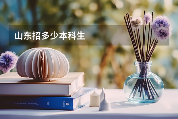 山东招多少本科生