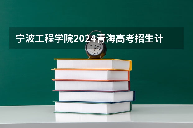 宁波工程学院2024青海高考招生计划详解