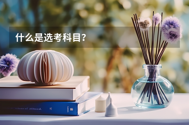 什么是选考科目？