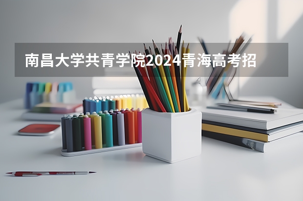 南昌大学共青学院2024青海高考招生计划详解