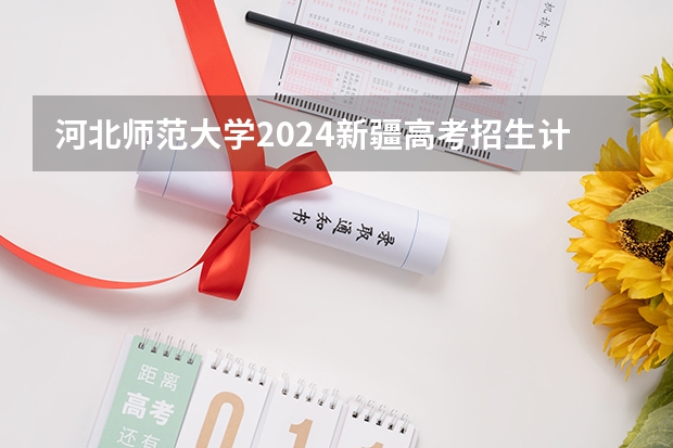 河北师范大学2024新疆高考招生计划详解