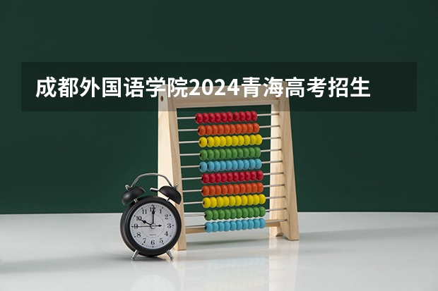 成都外国语学院2024青海高考招生计划详解