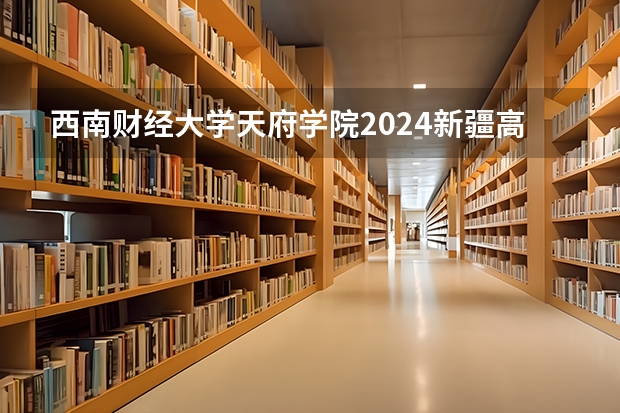 西南财经大学天府学院2024新疆高考招生计划详解