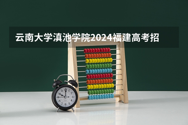 云南大学滇池学院2024福建高考招生计划详解
