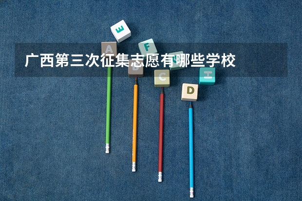 广西第三次征集志愿有哪些学校