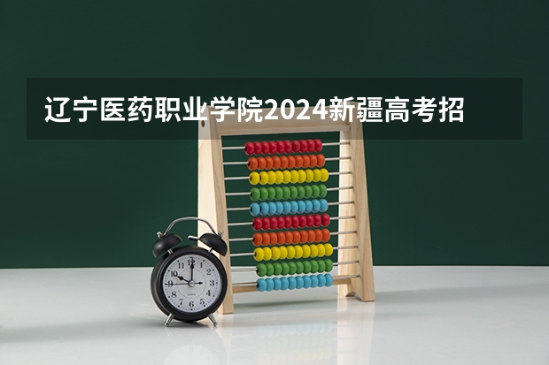 辽宁医药职业学院2024新疆高考招生计划详解